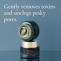 Pore Minimizing Volcanic Sea Clay Detox Mask For Dullness & Dryness