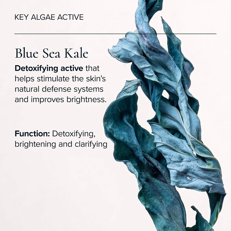 Sea Vitamin C Serum for Brightening Dark Spots & Redness with Algae