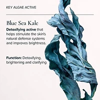 Sea Vitamin C Serum for Brightening Dark Spots & Redness with Algae