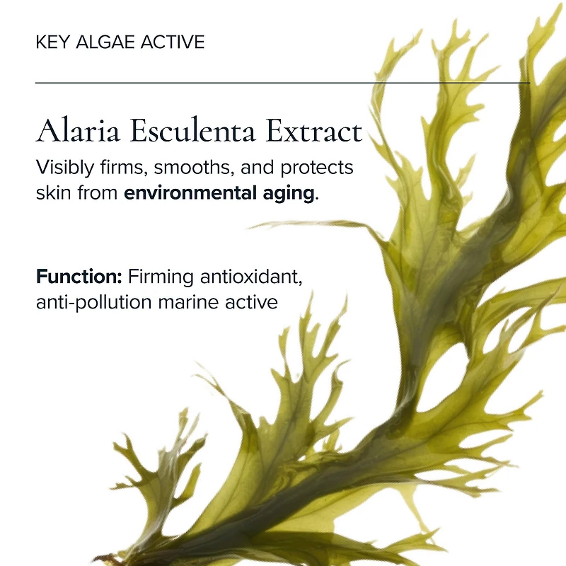 Universal Hydrating Face Oil for Anti-Aging and Glow with Algae + Moringa