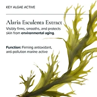 Universal Hydrating Face Oil for Anti-Aging and Glow with Algae + Moringa