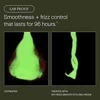 Mini No Frizz Smooth Styling Cream