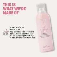 Final Call Frizz & Static Control Mist