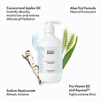 Heavenly Hydration Shampoo with Aloe