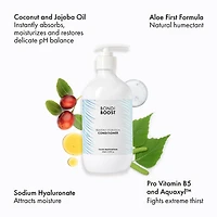 Heavenly Hydration Conditioner with Aloe + Argan
