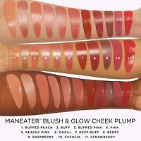 Repulpeur pour joues ™fard à et éclat™ maneater