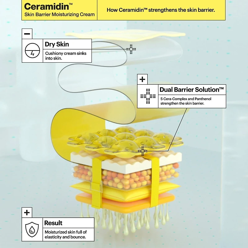 Crème hydratante Ceramididin™ pour la barrière cutanée