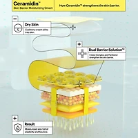 Crème hydratante Ceramididin™ pour la barrière cutanée