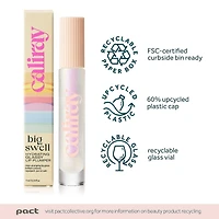 Big Swell Hydrating Lip Plumper Gloss