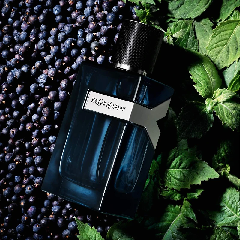 Eau de parfum Y Intense avec des notes baies genévrier épicées et lavande fraîche