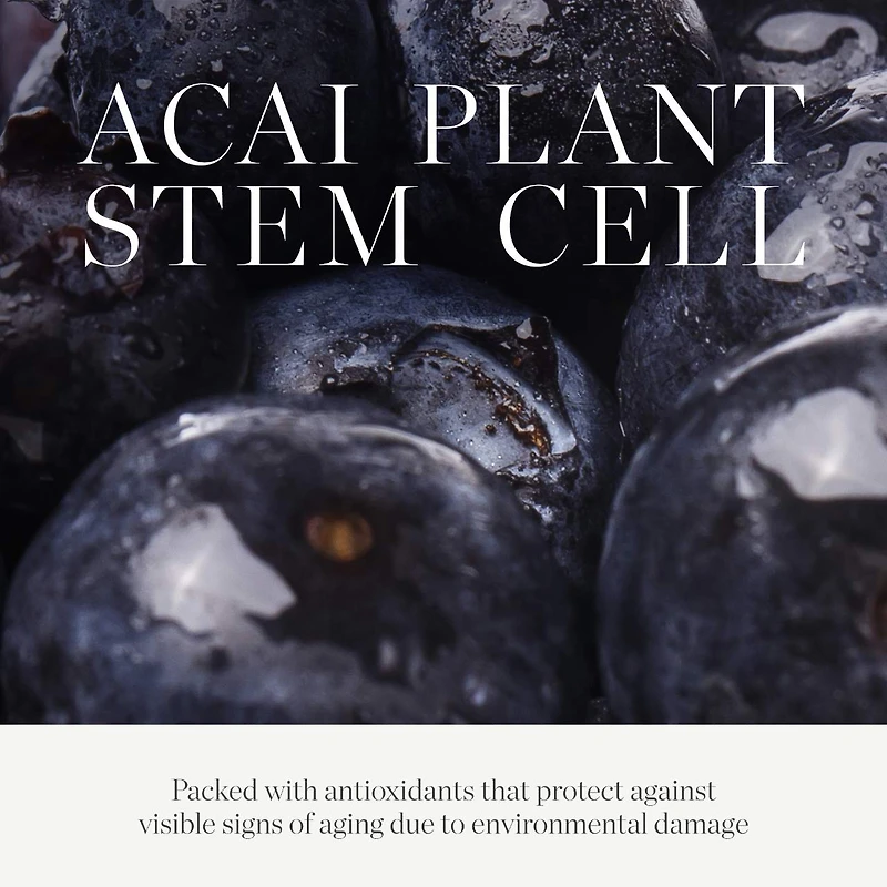 Plant Stem Cell Retinol Alternative Firming Serum