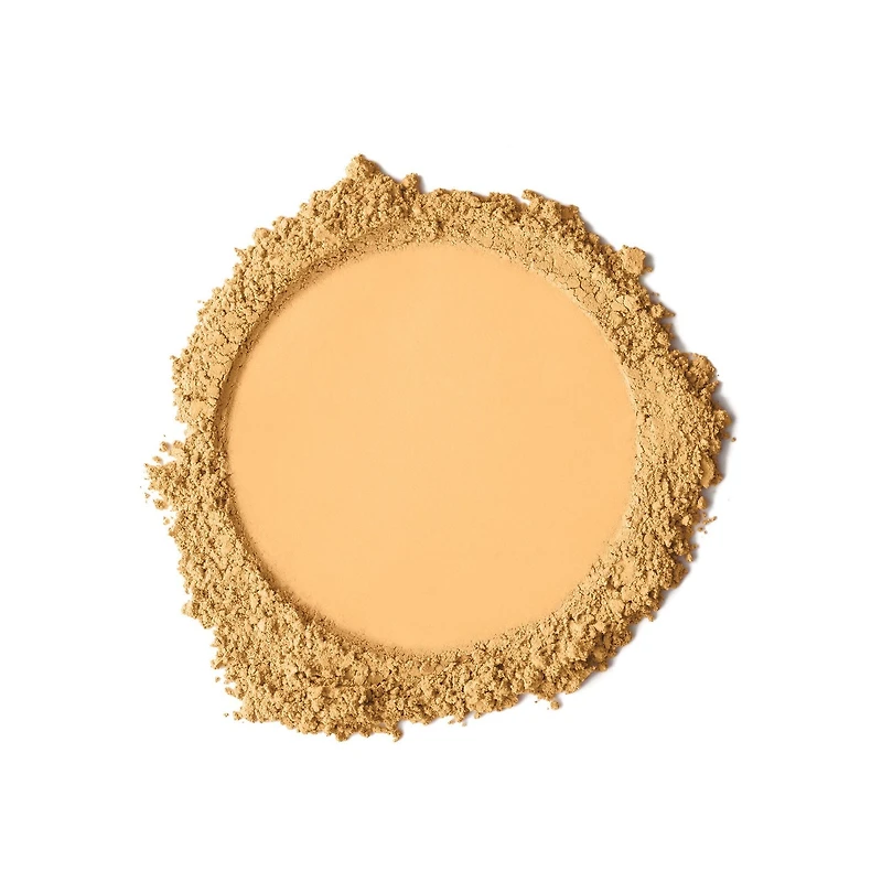 Poudre perfectrice avancée mat doux