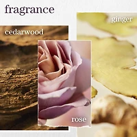 Color Fanatic Heat Protectant Leave-In Conditioner