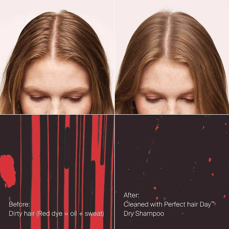 Shampoing sec Perfect Hair Day