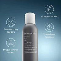 Shampoing sec Perfect Hair Day