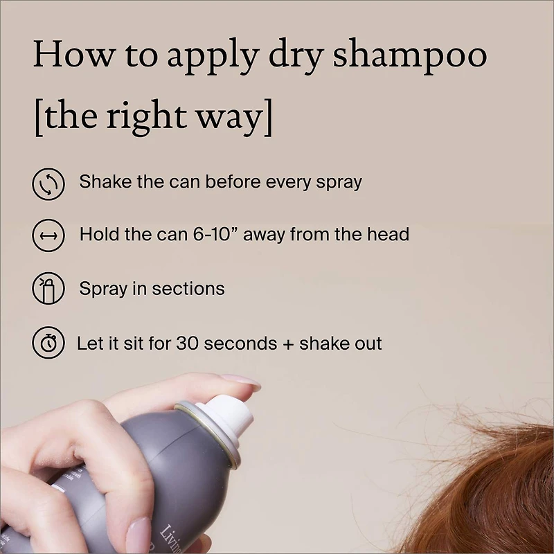 Shampoing sec Perfect Hair Day