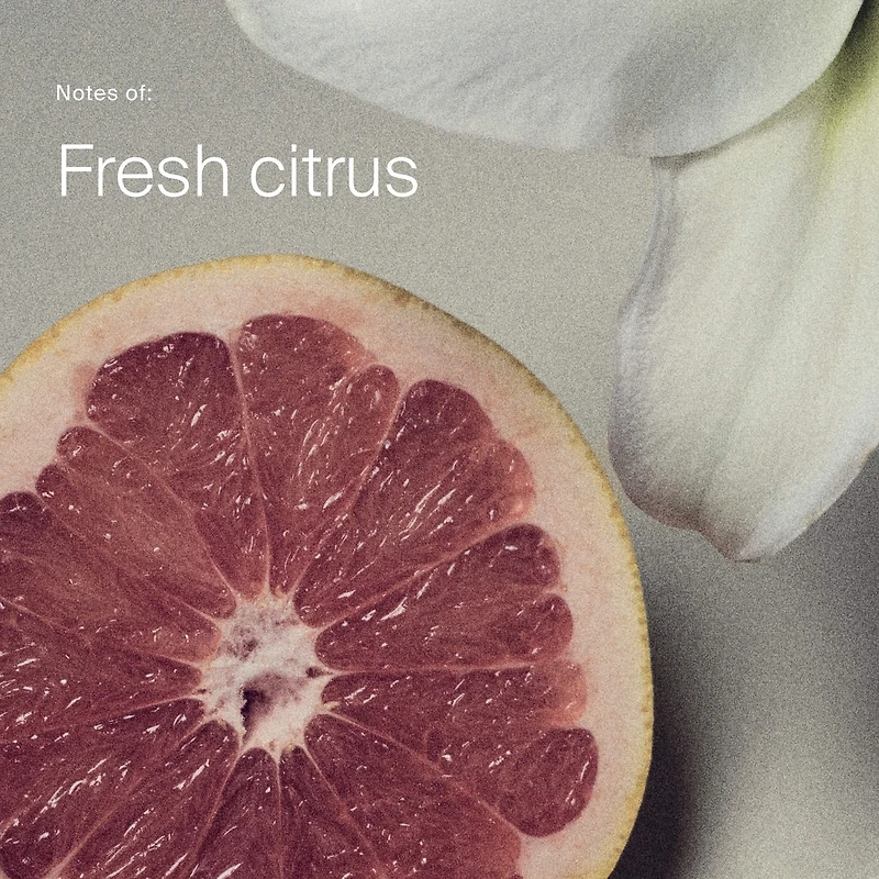 Shampoing sec Perfect Hair Day