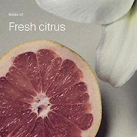 Shampoing sec Perfect Hair Day