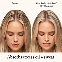 Shampoing sec Perfect Hair Day