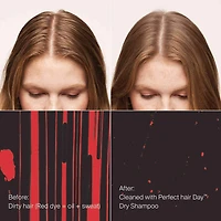 Shampoing sec Perfect Hair Day