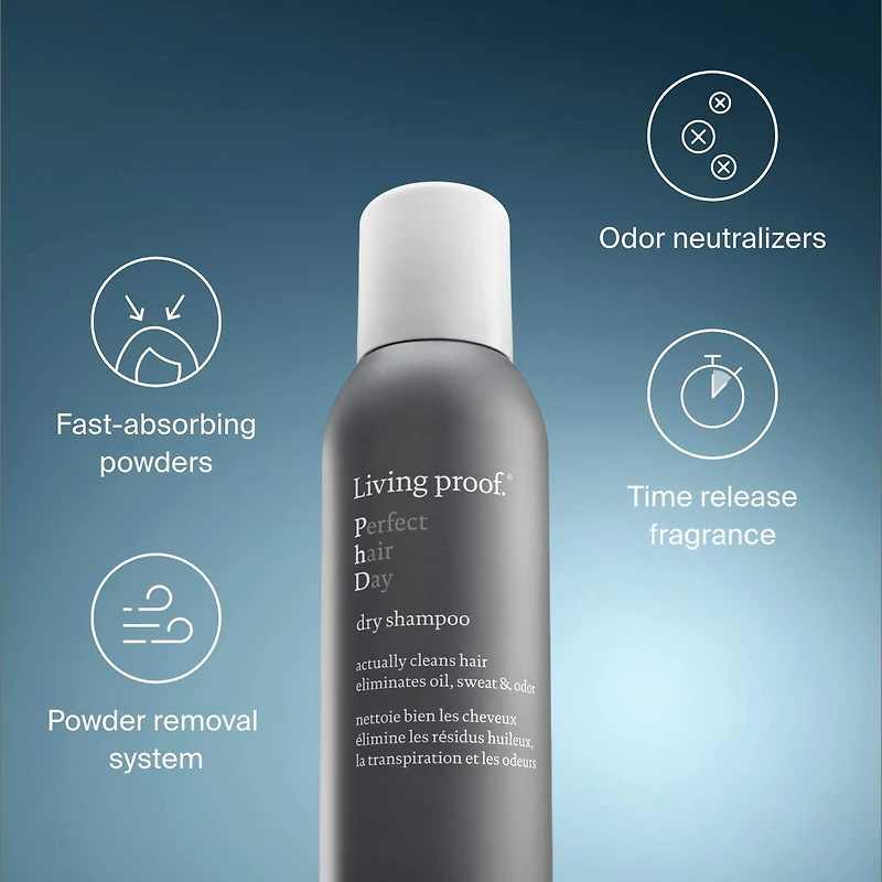 Shampoing sec Perfect Hair Day