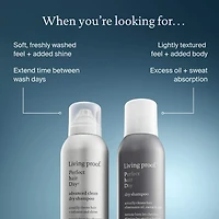 Shampoing sec Perfect Hair Day