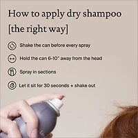 Shampoing sec Perfect Hair Day