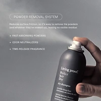 Shampoing sec Perfect Hair Day