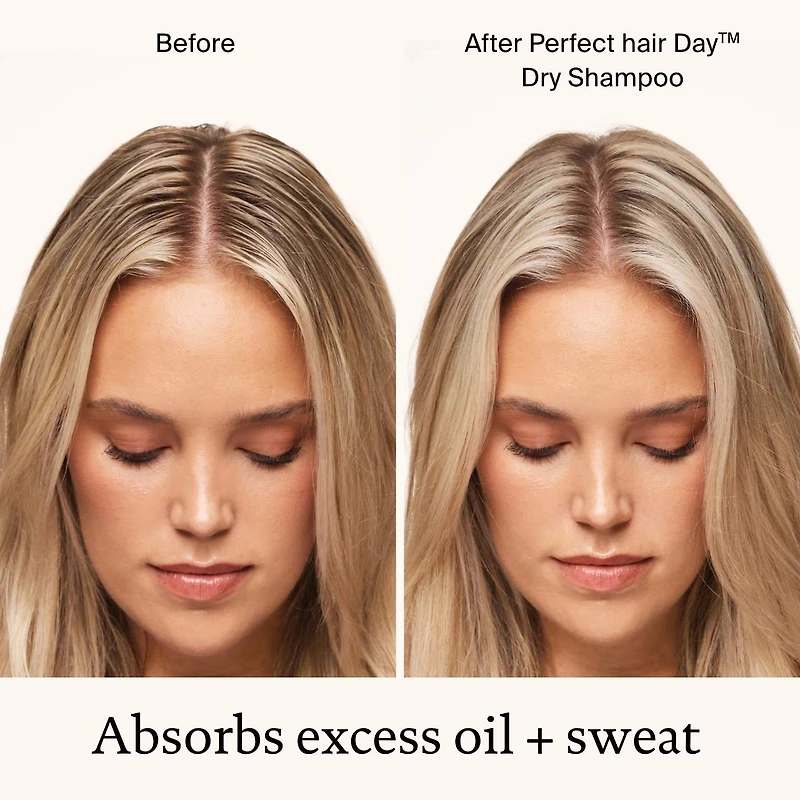 Shampoing sec Perfect Hair Day
