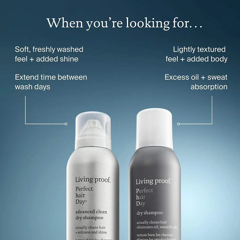 Shampoing sec Perfect Hair Day