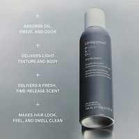 Shampoing sec Perfect Hair Day