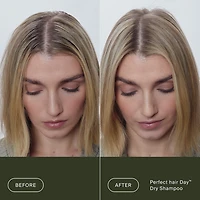 Shampoing sec Perfect Hair Day