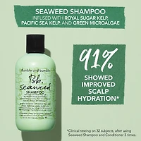 Shampoing nourrissant aux algues