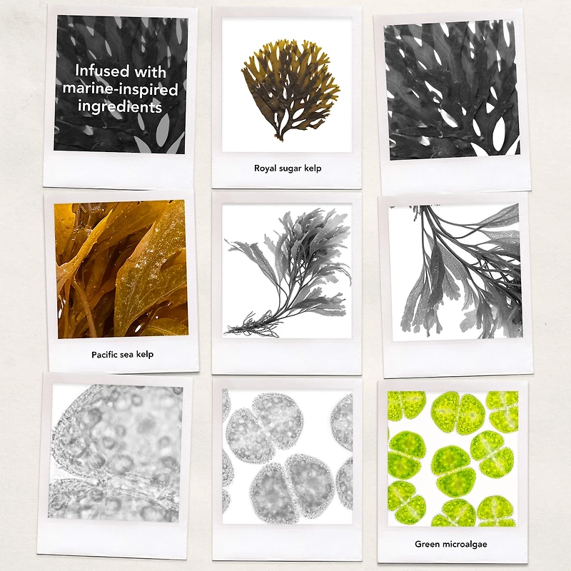 Seaweed Nourishing Shampoo