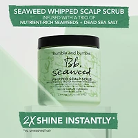 Exfoliant fouetté nourrissant pour le cuir chevelu aux algues