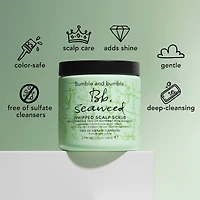 Exfoliant fouetté nourrissant pour le cuir chevelu aux algues