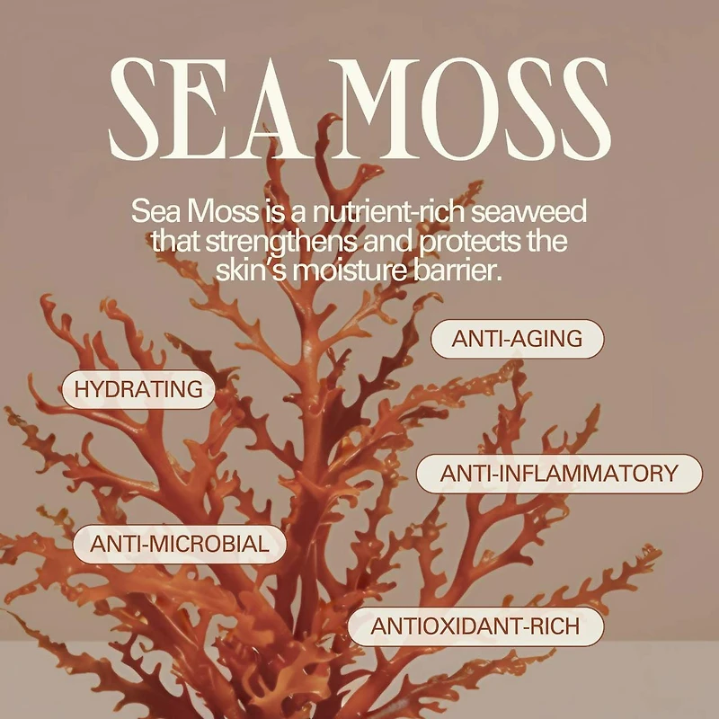 Isle Glow Face Sunscreen Moisturizer SPF 45 with Sea Moss and Niacinamide