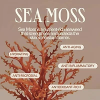Isle Glow Face Sunscreen Moisturizer SPF 45 with Sea Moss and Niacinamide