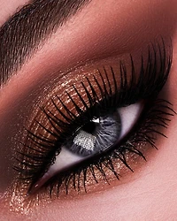 Palette de fards à paupières de prestige Divine Bronze : Venusian Sunrise