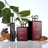 Myrrh & Tonka Cologne Intense with Amber Lavender