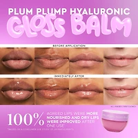 Plum Plump Hyaluronic Acid Lip Gloss Balm