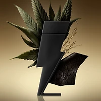 Le parfum Bad Boy