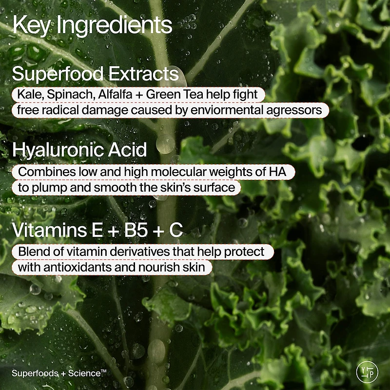Superfood Air-Whip Lightweight Face Moisturizer with Hyaluronic Acid
