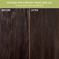 Stargloss Shine Hair Gloss Treatment
