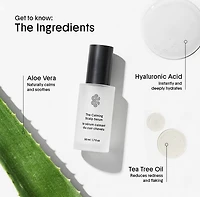 The Calming Scalp Serum for Dry & Sensitive Scalp