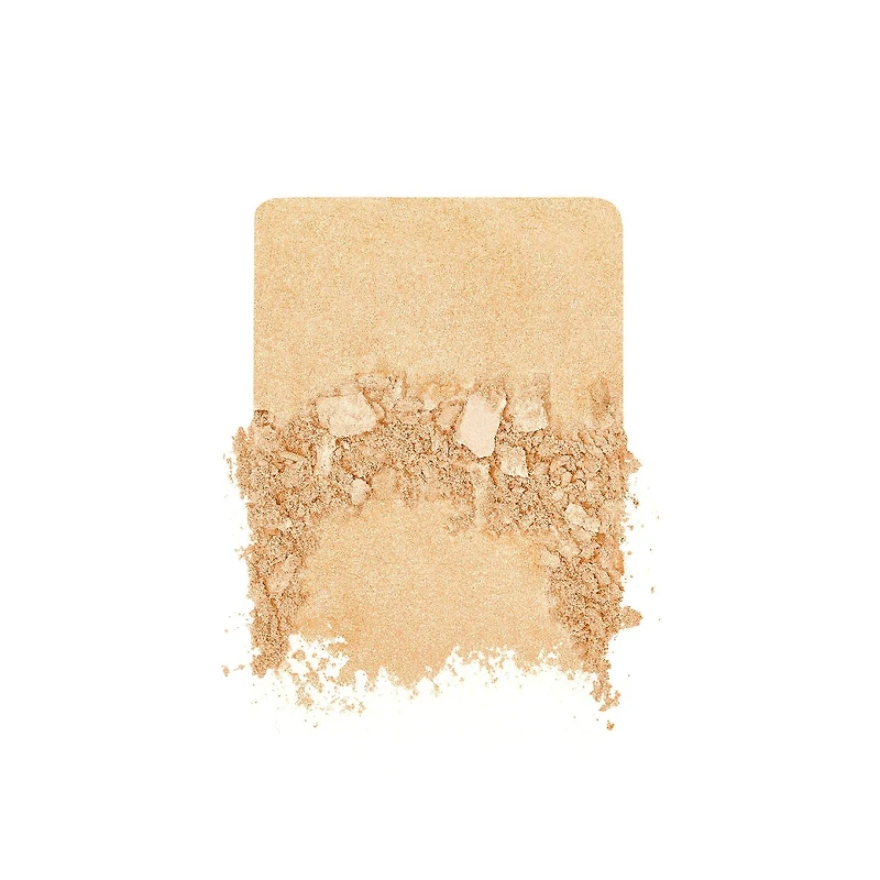 Fard à joues en poudre illuminateur de longue tenue Skin-Fusing Artist