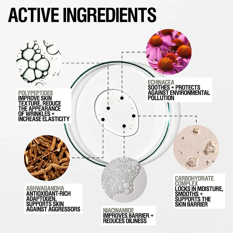 Skin Renewal Anti-oxidant Rich Barrier Serum with Ashwagandha, Niacinamide and Echinacea