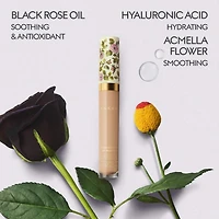 Anticernes polyvalent anti-plis et hydratant Concentré de Beauté