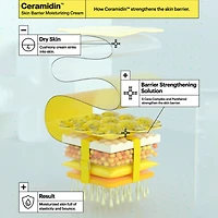 Crème hydratante Ceramididin™ pour la barrière cutanée