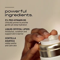 MINIMALIST HYDRATING MOISTURIZER with Pro-Vitamin B5